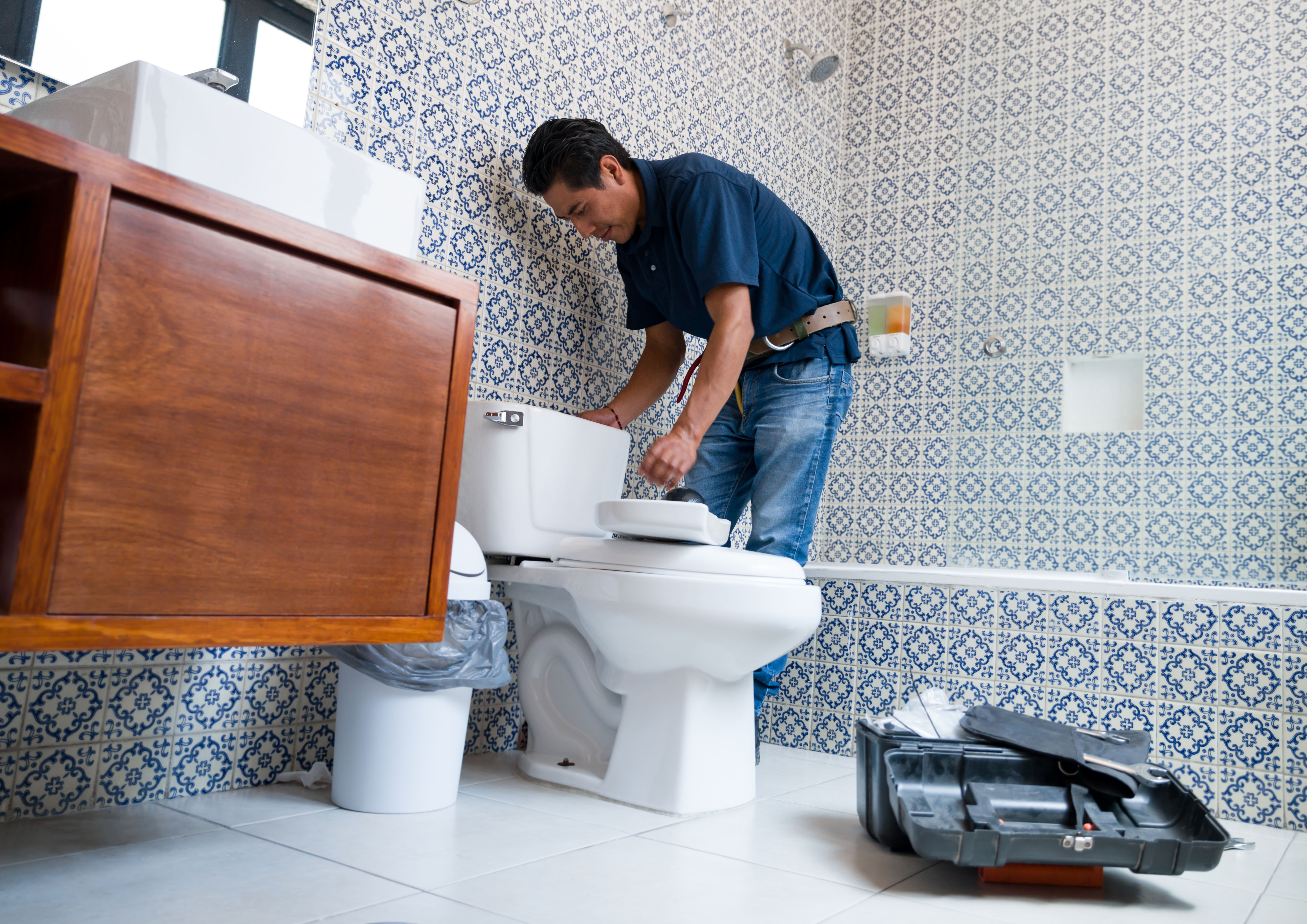 why-do-you-need-an-expert-toilet-installation-plumber-in-normal-il